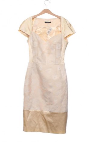 Kleid Pietro Filipi, Größe XS, Farbe Mehrfarbig, Preis 14,99 €