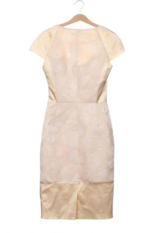 Kleid Pietro Filipi, Größe XS, Farbe Mehrfarbig, Preis 14,99 €