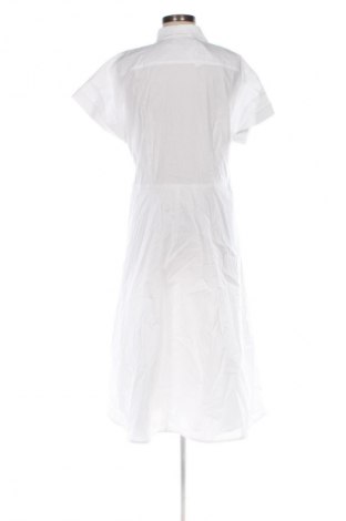 Kleid Ralph Lauren, Größe L, Farbe Weiß, Preis 157,99 €