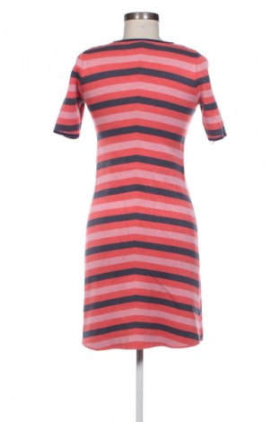 Рокля Ted Baker, Размер XS, Цвят Многоцветен, Цена 44,99 €