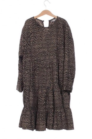 Φόρεμα Zara, Μέγεθος M, Χρώμα Πολύχρωμο, Τιμή 10,99 €