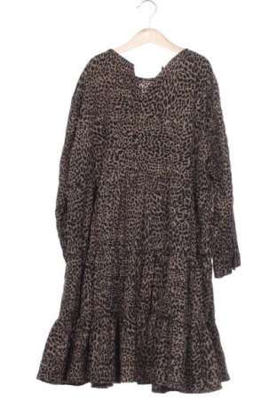 Φόρεμα Zara, Μέγεθος M, Χρώμα Πολύχρωμο, Τιμή 10,99 €