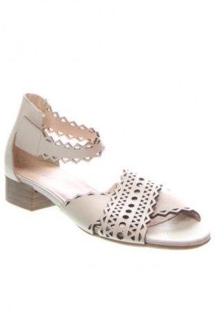 Sandále Alpina, Veľkosť 40, Farba Sivá, Cena  47,96 €