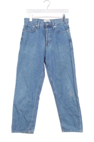 Herren Jeans Jack & Jones, Größe S, Farbe Blau, Preis € 17,99