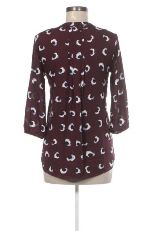 Γυναικεία μπλούζα 41 Hawthorn, Μέγεθος XS, Χρώμα Πολύχρωμο, Τιμή 29,99 €