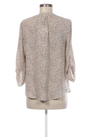 Γυναικεία μπλούζα 41 Hawthorn, Μέγεθος S, Χρώμα Πολύχρωμο, Τιμή 28,99 €