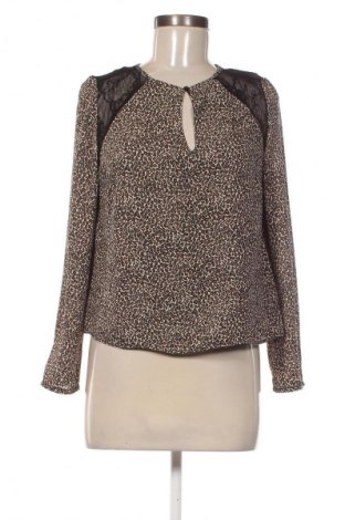 Γυναικεία μπλούζα Bershka, Μέγεθος M, Χρώμα Πολύχρωμο, Τιμή 2,99 €