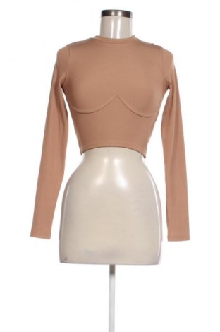 Damen Shirt Bershka, Größe XS, Farbe Braun, Preis 9,99 €