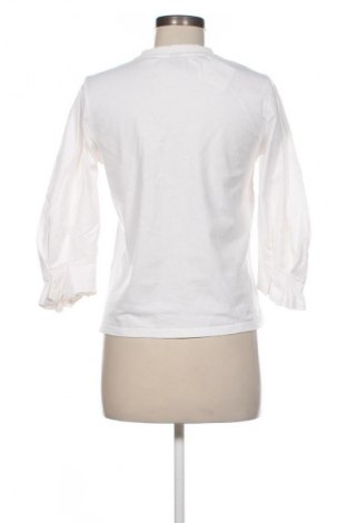 Γυναικεία μπλούζα DAZY, Μέγεθος S, Χρώμα Λευκό, Τιμή 9,99 €