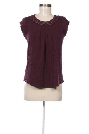 Γυναικεία μπλούζα Daniel Rainn, Μέγεθος S, Χρώμα Βιολετί, Τιμή 28,99 €