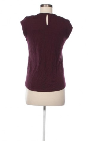 Γυναικεία μπλούζα Daniel Rainn, Μέγεθος S, Χρώμα Βιολετί, Τιμή 28,99 €