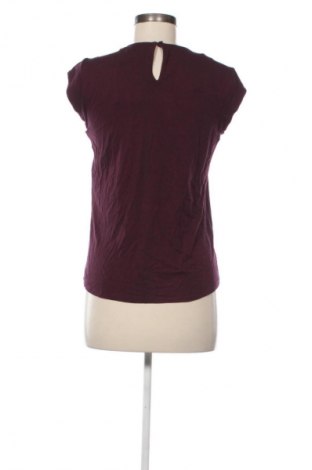 Γυναικεία μπλούζα Daniel Rainn, Μέγεθος S, Χρώμα Σάπιο μήλο, Τιμή 28,99 €