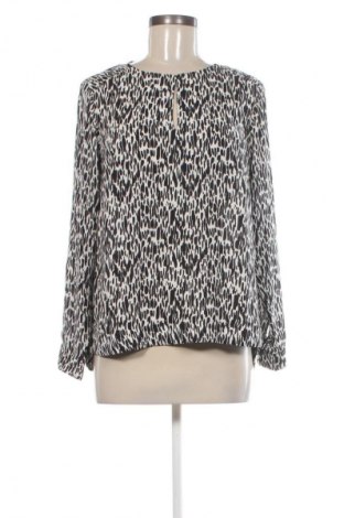 Γυναικεία μπλούζα Editor's Cut, Μέγεθος M, Χρώμα Πολύχρωμο, Τιμή 12,99 €