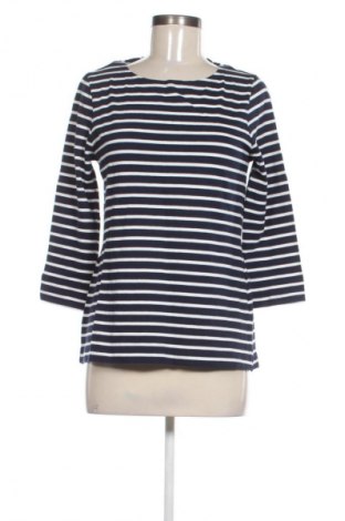 Γυναικεία μπλούζα Editor's Cut, Μέγεθος M, Χρώμα Πολύχρωμο, Τιμή 12,99 €