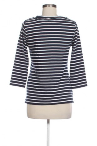 Γυναικεία μπλούζα Editor's Cut, Μέγεθος M, Χρώμα Πολύχρωμο, Τιμή 12,99 €