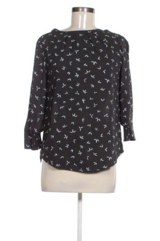 Γυναικεία μπλούζα Editor's Cut, Μέγεθος XS, Χρώμα Πολύχρωμο, Τιμή 12,99 €