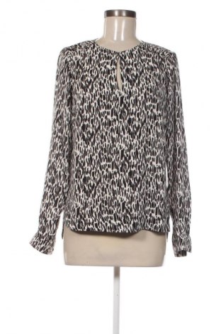 Γυναικεία μπλούζα Editor's Cut, Μέγεθος S, Χρώμα Πολύχρωμο, Τιμή 13,99 €