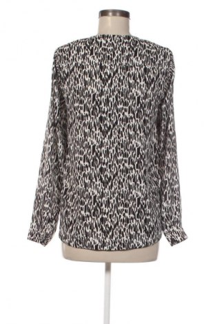 Γυναικεία μπλούζα Editor's Cut, Μέγεθος S, Χρώμα Πολύχρωμο, Τιμή 13,99 €