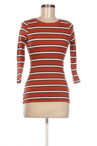 Γυναικεία μπλούζα F&F, Μέγεθος XS, Χρώμα Πολύχρωμο, Τιμή 5,99 €