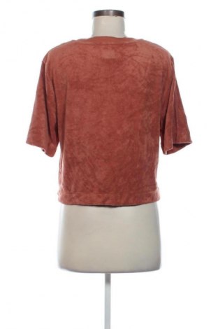 Γυναικεία μπλούζα Gap, Μέγεθος XS, Χρώμα Καφέ, Τιμή 6,99 €