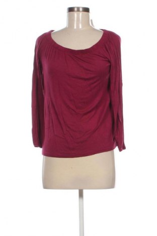 Γυναικεία μπλούζα Hollister, Μέγεθος XS, Χρώμα Κόκκινο, Τιμή 17,99 €