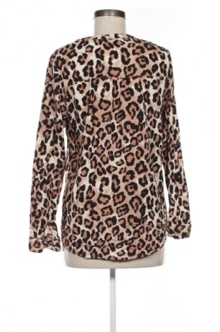 Γυναικεία μπλούζα Janina, Μέγεθος XL, Χρώμα Πολύχρωμο, Τιμή 4,99 €