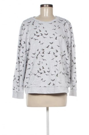Damen Shirt Kangaroos, Größe M, Farbe Mehrfarbig, Preis € 9,99, #135491807