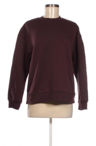 Γυναικεία μπλούζα Primark, Μέγεθος S, Χρώμα Καφέ, Τιμή 10,99 €