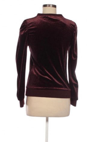 Дамска блуза Saint Tropez, Размер XS, Цвят Кафяв, Цена 4,09 €