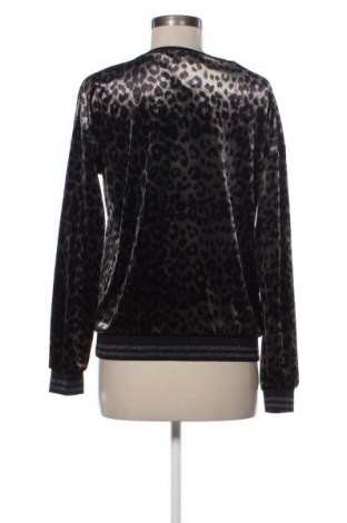 Γυναικεία μπλούζα Saint Tropez, Μέγεθος S, Χρώμα Πολύχρωμο, Τιμή 14,99 €