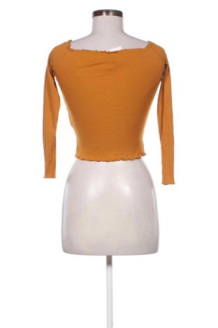 Dámská halenka Terranova, Velikost XS, Barva Hnědá, Cena  269,00 Kč