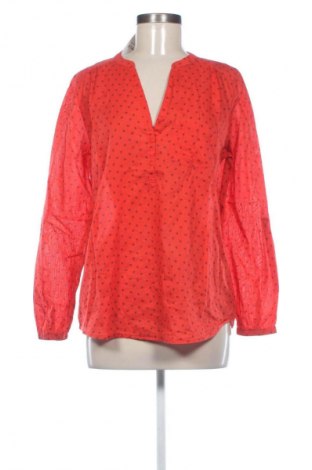 Γυναικεία μπλούζα Yessica, Μέγεθος M, Χρώμα Πολύχρωμο, Τιμή 9,99 €