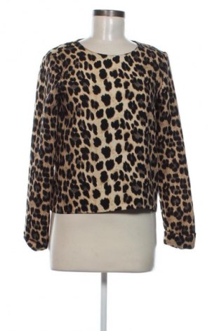 Dámska blúza Zara, Veľkosť M, Farba Viacfarebná, Cena  7,95 €