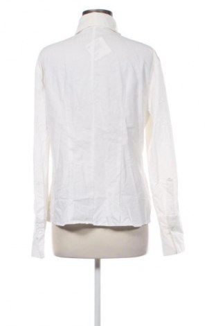 Dámská košile  Credo, Velikost XXL, Barva Krémová, Cena  799,00 Kč