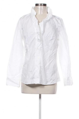 Damenbluse Dibari, Größe L, Farbe Ecru, Preis € 6,91