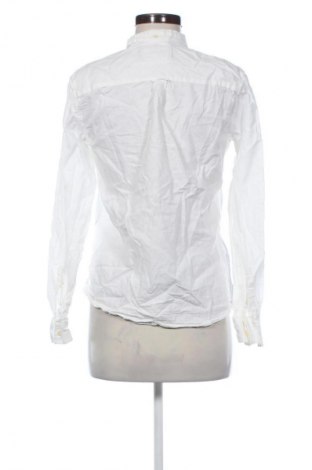 Damenbluse Lyle & Scott, Größe S, Farbe Ecru, Preis 6,99 €