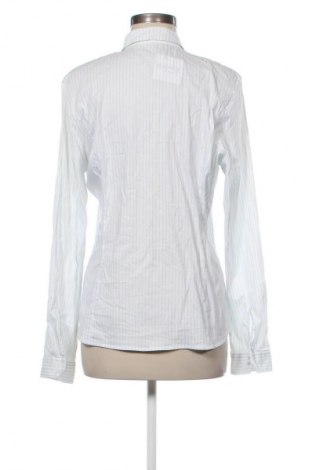 Damenbluse More & More, Größe XL, Farbe Mehrfarbig, Preis 11,99 €