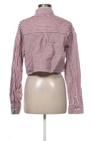 Γυναικείο πουκάμισο Primark, Μέγεθος L, Χρώμα Πολύχρωμο, Τιμή 5,99 €