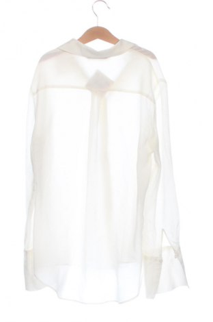 Damenbluse Zara, Größe XS, Farbe Ecru, Preis 13,99 €