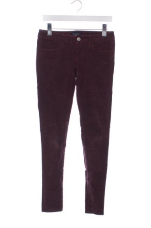 Damen Cordhose American Eagle, Größe S, Farbe Lila, Preis 65,99 €