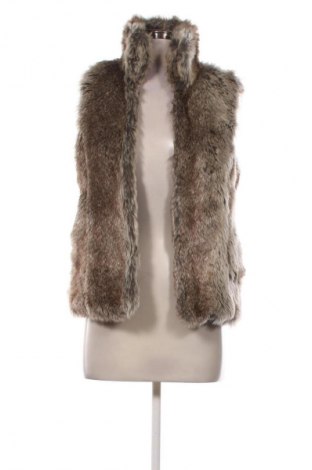 Дамски елек Bershka, Размер S, Цвят Многоцветен, Цена 9,71 €