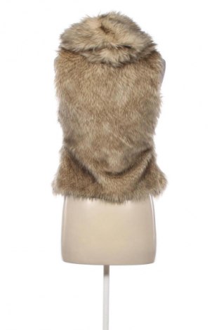 Γυναικείο γιλέκο Golddigga, Μέγεθος M, Χρώμα  Μπέζ, Τιμή 13,48 €