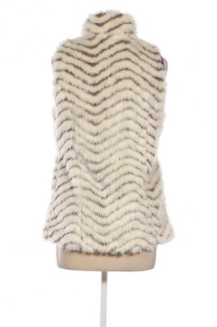 Γυναικείο γιλέκο Me Jane, Μέγεθος M, Χρώμα Πολύχρωμο, Τιμή 17,99 €