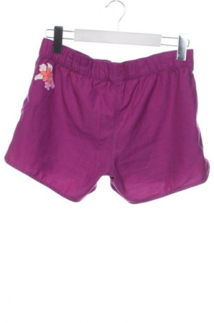 Γυναικείο κοντό παντελόνι Unbranded, Μέγεθος L, Χρώμα Βιολετί, Τιμή 6,99 €