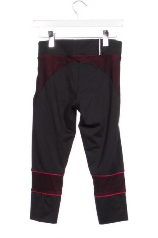 Dámské legíny  Oysho, Velikost XS, Barva Vícebarevné, Cena  269,00 Kč