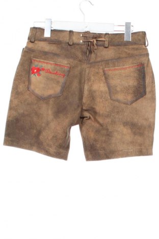 Дамски кожен панталон Wiesnkoenig, Размер S, Цвят Кафяв, Цена 93,56 €