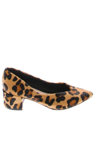 Obuwie damskie Next, Rozmiar 36, Kolor Kolorowy, Cena 244,99 zł