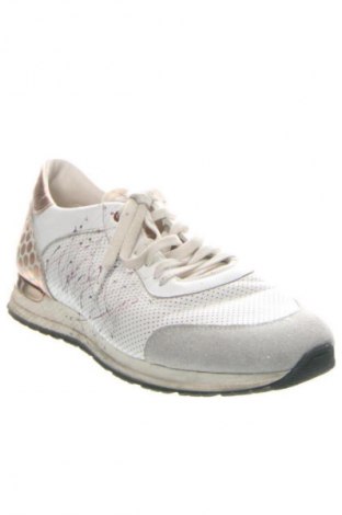 Γυναικεία παπούτσια Noclaim, Μέγεθος 42, Χρώμα Πολύχρωμο, Τιμή 46,99 €