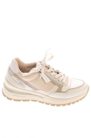 Obuwie damskie Tamaris, Rozmiar 37, Kolor Kolorowy, Cena 241,08 zł