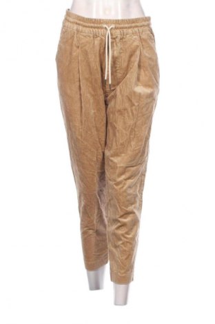 Ανδρικό κοτλέ παντελόνι Drole de Monsieur, Μέγεθος S, Χρώμα Καφέ, Τιμή 102,99 €